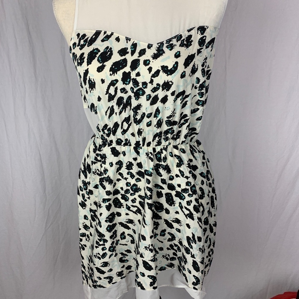 Walter baker dress